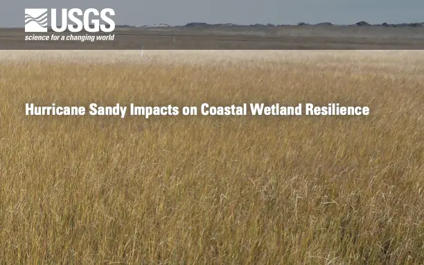 Hurricane Sandy Impacts on Coastal Wetland Resilience